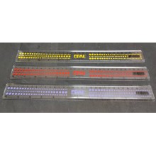 Plastic Ruler 30cm (12") Pembaris Plastik Panjang 12 Inci - Epal R1201