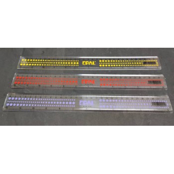 Plastic Ruler 30cm (12") Pembaris Plastik Panjang 12 Inci - Epal R1201