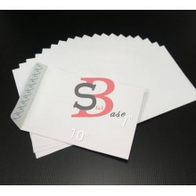 Lion - White Envelope (P&S) 7" x 10" (20's/pack)