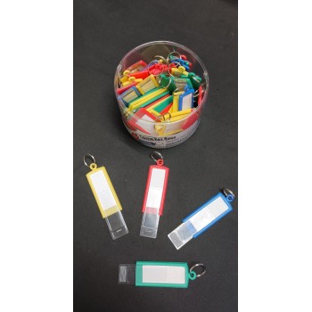 Ding Li Assorted Colour Key Tags ID Label - Y 103 ( 50 's / Drum )
